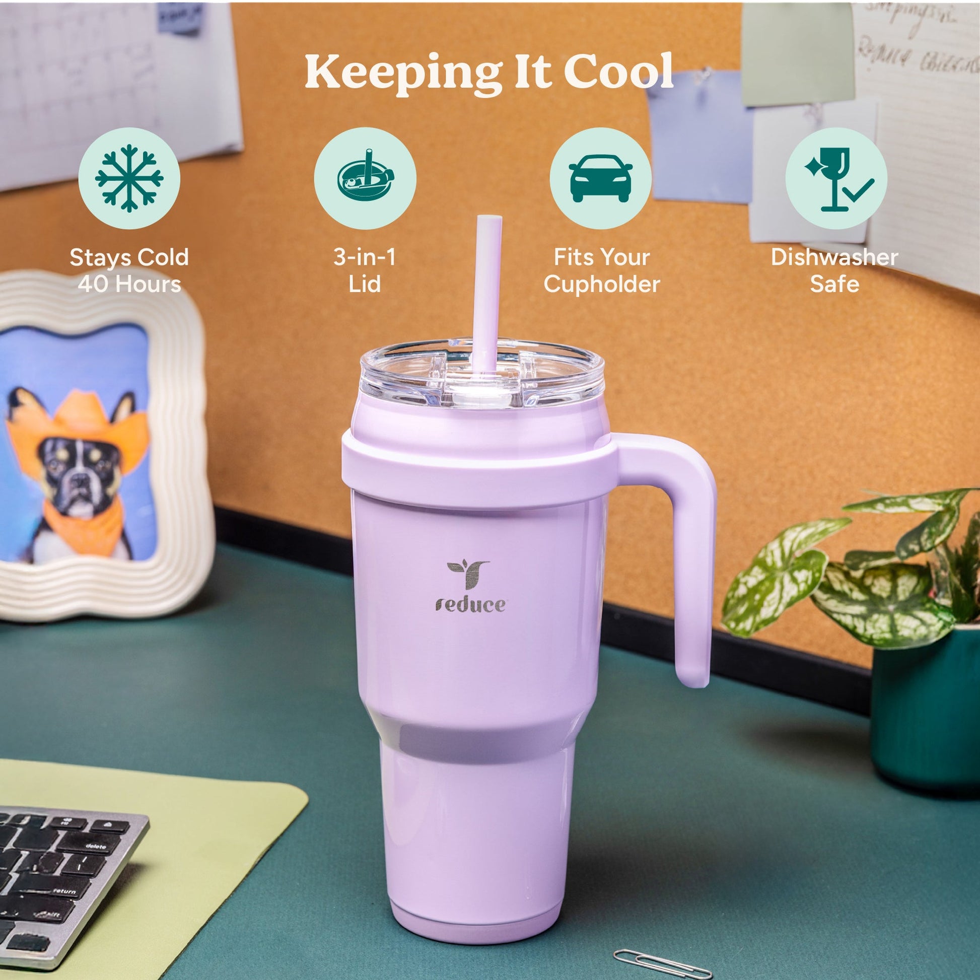 cold1-40-oz-s4 Cold1_40oz_PalmLeaf_Infographic_1.jpg
