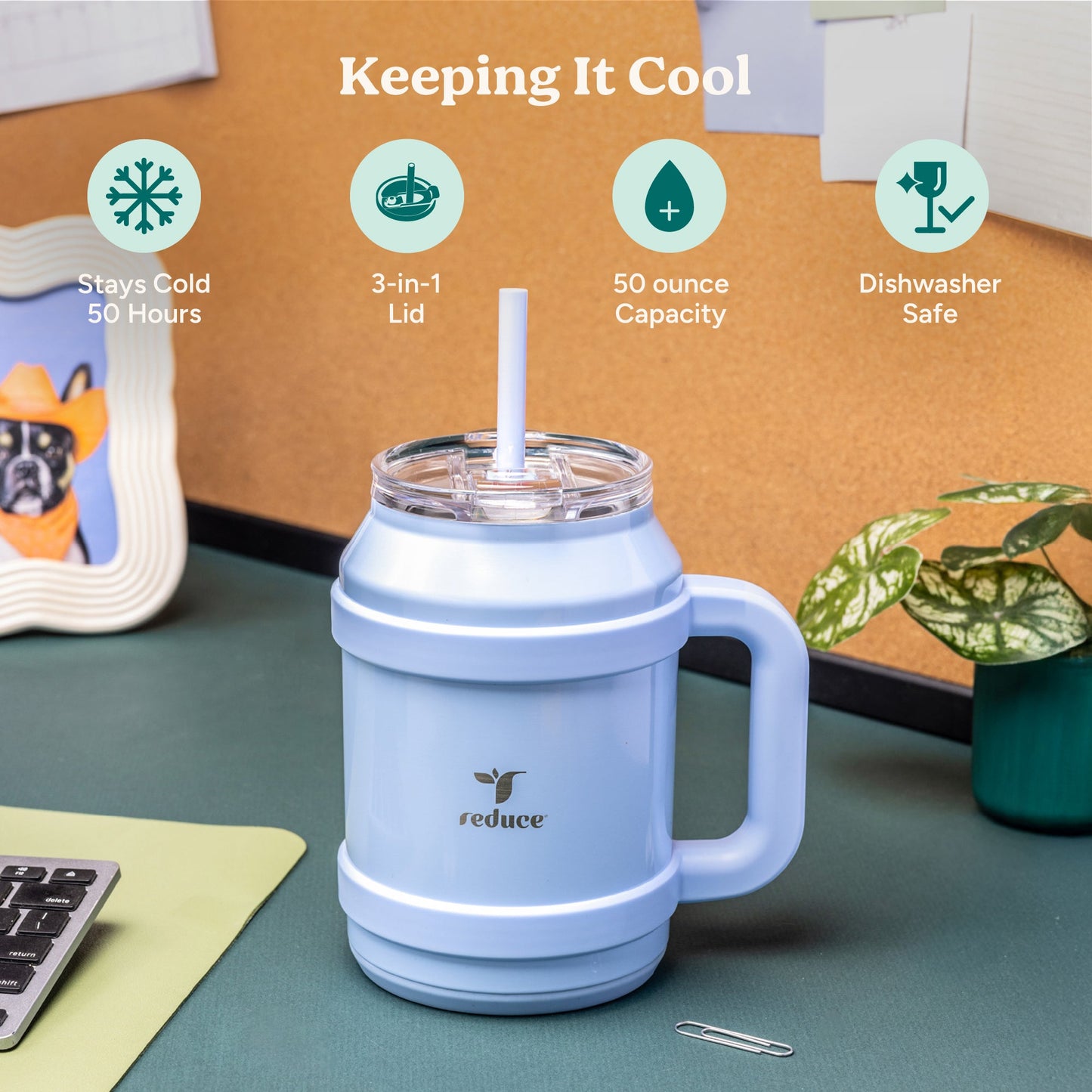 cold1-desktop-50-oz-l2 Cold1_50oz_Desktop_LilacBud_Infographic_1.jpg